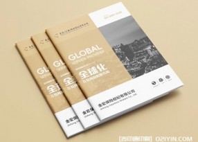 金融保險(xiǎn)行業(yè)畫冊設(shè)計(jì)印刷